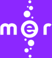 Mer-Logo-purple.svg